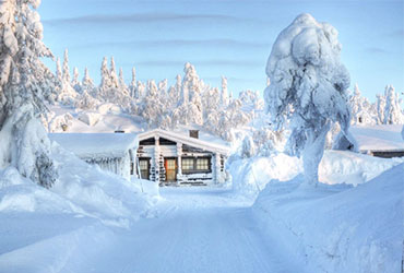 Exotic Kashmir with Gulmarg