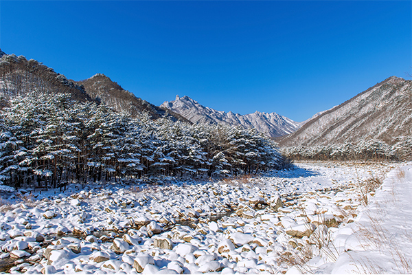 winter1.3